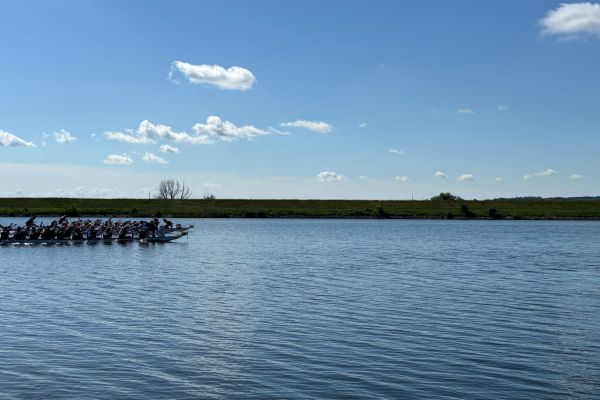 hjdv4174D90697F4-0864-3C79-50D0-EF05F51617E9.jpg